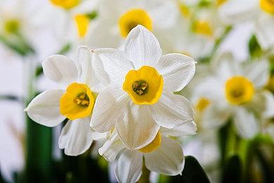 《暗黑破坏神4》第六赛季“憎恨崛起”官网改动日志